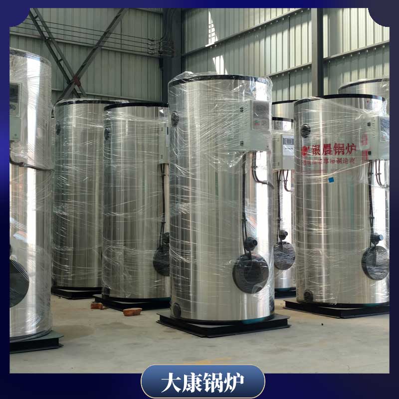 生物質(zhì)水暖鍋爐鼎盛鍋爐常壓真空鍋爐