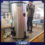 河南CWNS5.6-85/60-QY鍋爐