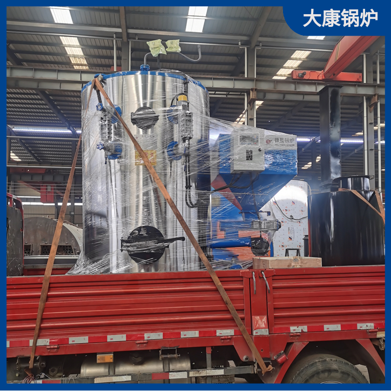 生物質(zhì)燃料 鍋爐