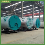 安徽300萬(wàn)大卡導(dǎo)油爐