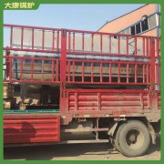 上海6t冷凝真空鍋爐