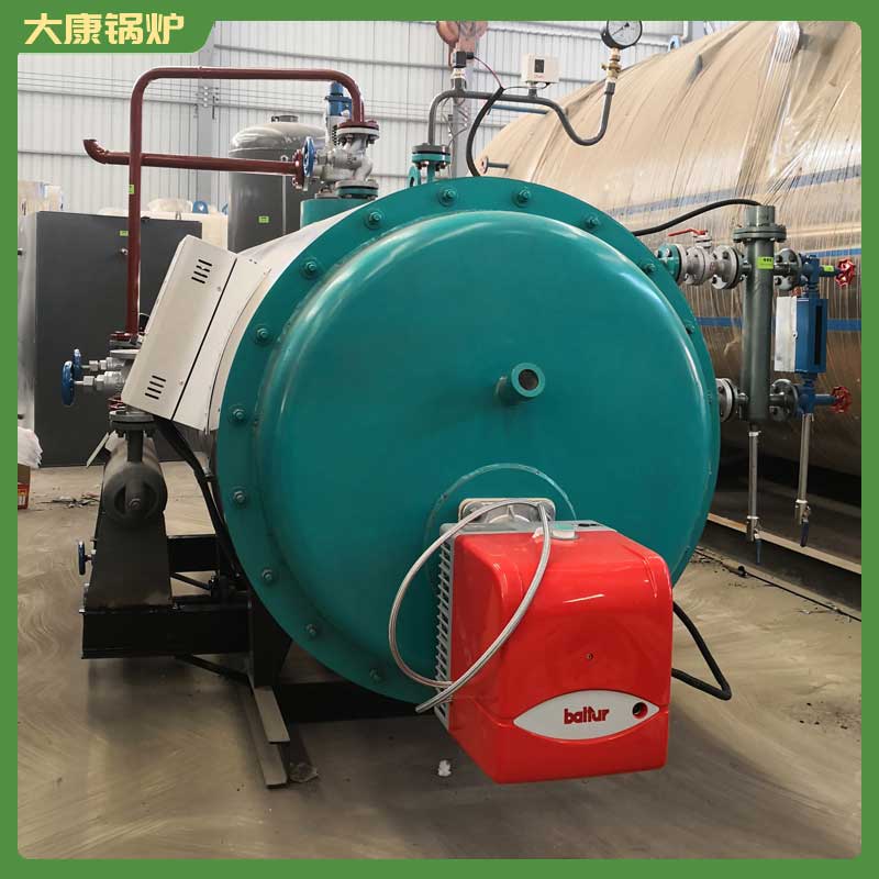 小型生物質(zhì)燃料鍋爐