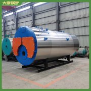 陜西4t低氮導(dǎo)油爐